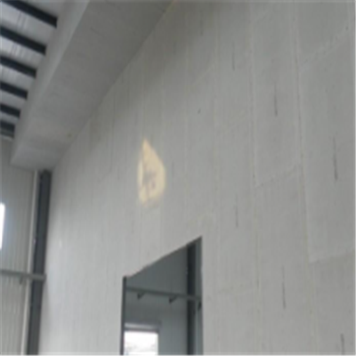 安居宁波ALC板|EPS加气板隔墙与混凝土整浇联接的实验研讨